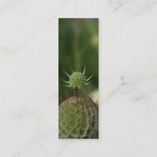 賀浦2 スキニー名刺 (裏面)