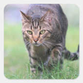 賀部 スクエアシール (正面)