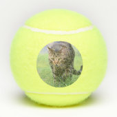 賀部 テニスボール (裏面)