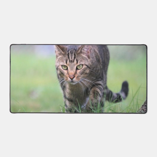 賀部 デスクマット (正面)