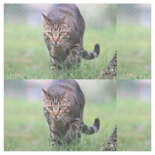 賀部 ファブリック (クローズアップ)