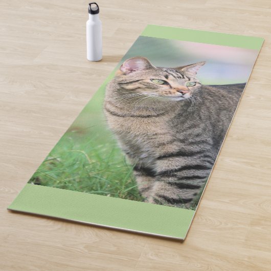 賀部 ヨガマット (インサイチュ)