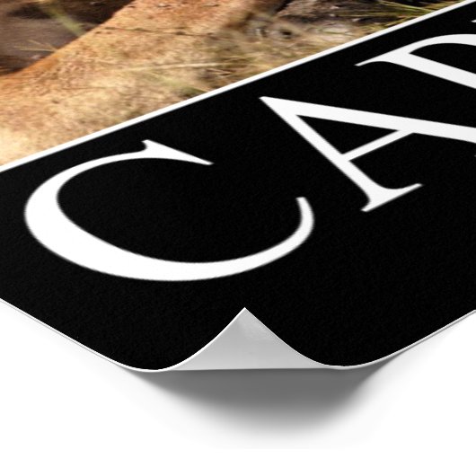 資本主義 ポスター (角)