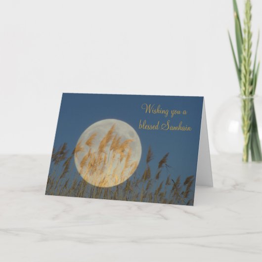 賛美されたハロウィンを望みます カード (正面)