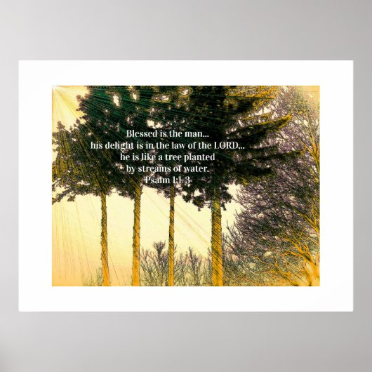 賛美は人だ ポスター (正面)