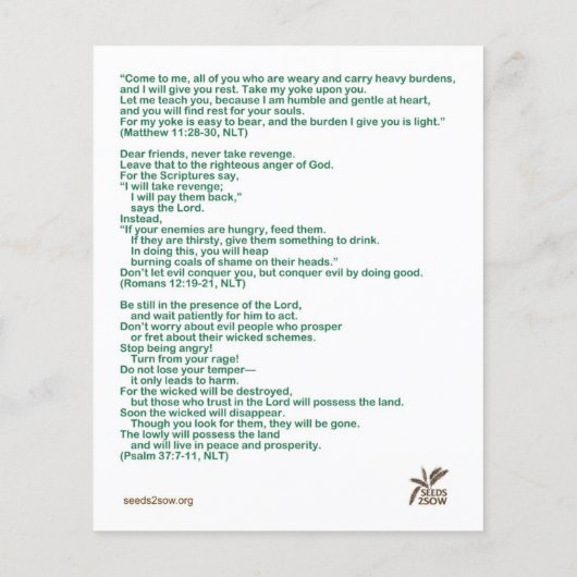 賛美は弱い チラシ (裏面)