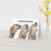 賛美を歌う カード (黄色い花)