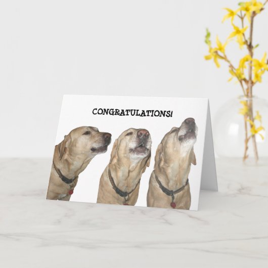 賛美を歌う カード (黄色い花)