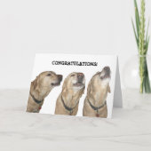 賛美を歌う カード (正面)