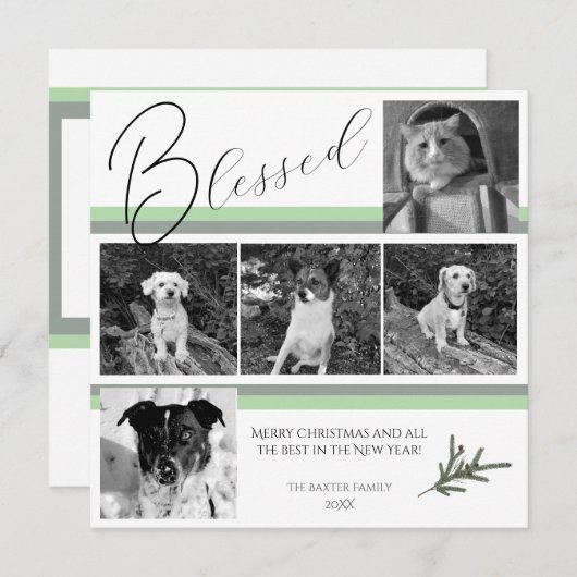 賛美モダン5フォトグリーンパイン枝クリスマス シーズンカード (正面/裏面)