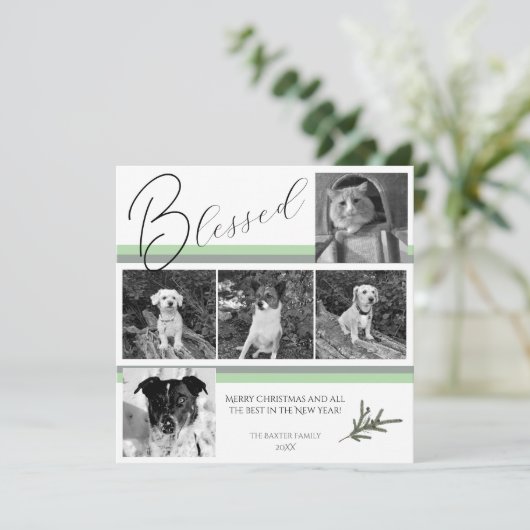 賛美モダン5フォトグリーンパイン枝クリスマス シーズンカード (スタンド正面)