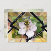 賛美主の信頼を寄せる者は ポストカード (正面/裏面)