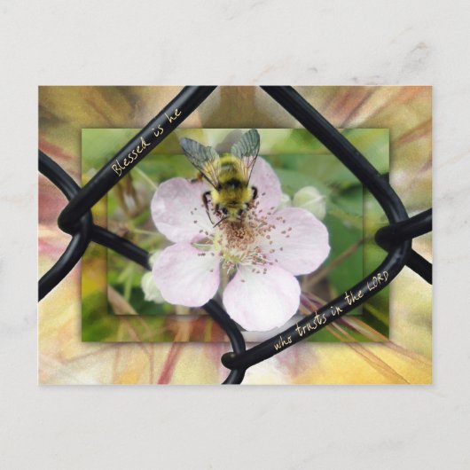 賛美主の信頼を寄せる者は ポストカード (正面)