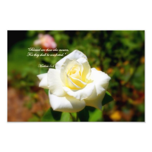 賛美悲しむ人 フォトプリント            (正面)