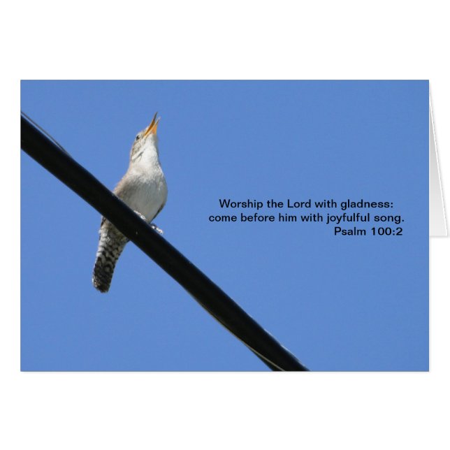 賛美歌の100:2、ミソサザイ及びブルーバード (正面横)