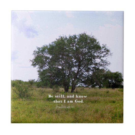 賛美歌の46:10の感動的な聖書の引用文 タイル (正面)