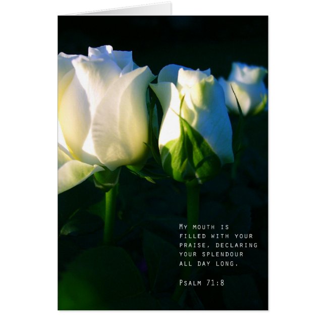 賛美歌の71:8 (正面)