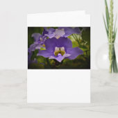 賛美自然 カード (正面)