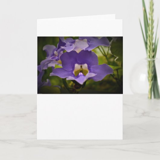 賛美自然 カード (正面)