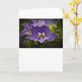 賛美自然 カード (黄色い花)