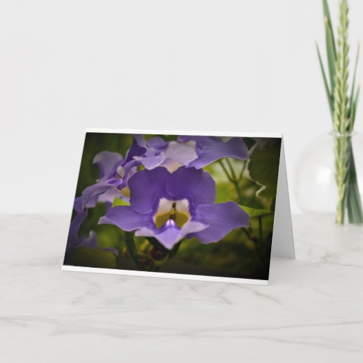 賛美自然 カード (正面)