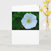 賛美自然、カード カード (黄色い花)