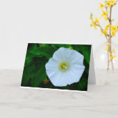 賛美自然、カード カード (黄色い花)