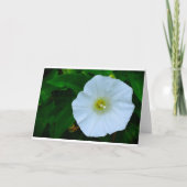 賛美自然、カード カード (正面)