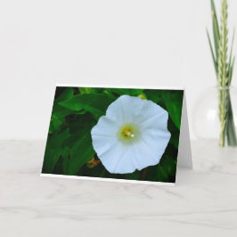 賛美自然、カード カード