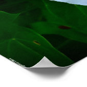 賛美自然 ポスター (角)