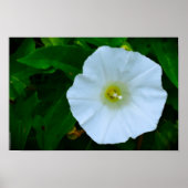 賛美自然 ポスター (正面)