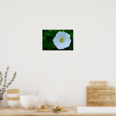 賛美自然 ポスター (キッチン)