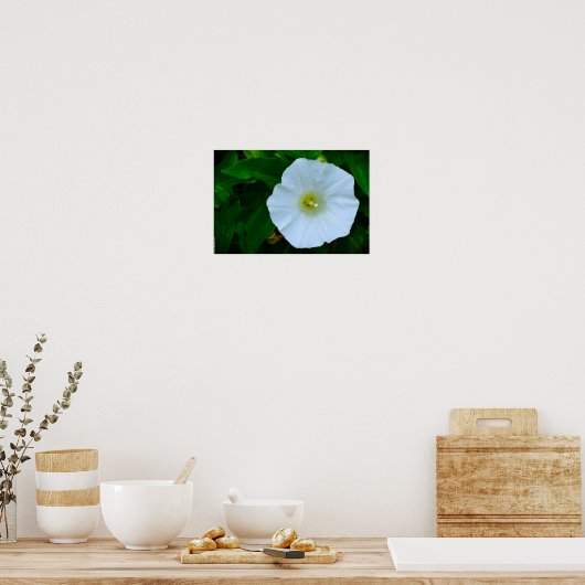 賛美自然 ポスター (キッチン)