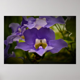 賛美自然 ポスター