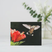 賞を見る ポストカード (スタンド正面)