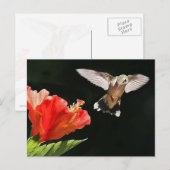 賞を見る ポストカード (正面/裏面)