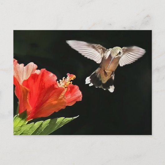 賞を見る ポストカード (正面)