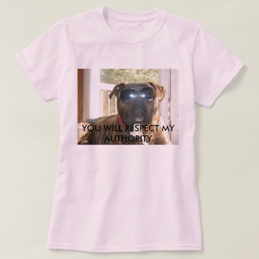 賞金目当てのハンターの後をつけて下さい Tシャツ (デザイン正面)