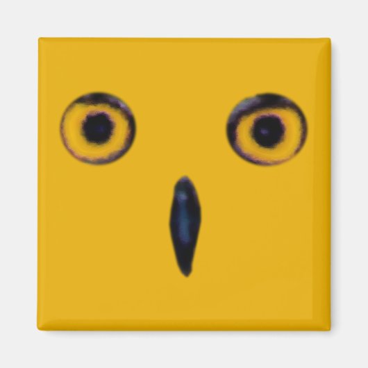 賢いオールドフクロウの目 マグネット (正面)