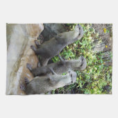 賢いカワウソ３匹のタオル キッチンタオル (横)