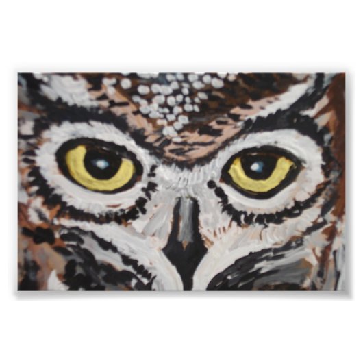 賢いフクロウ フォトプリント            (正面)