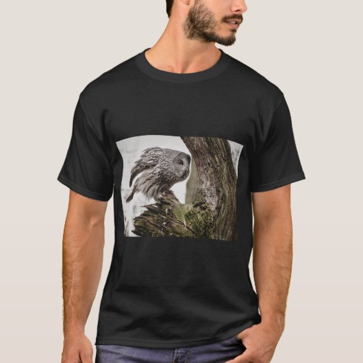 賢いフクロウ - 夜の美しさTシャツ Tシャツ (正面)