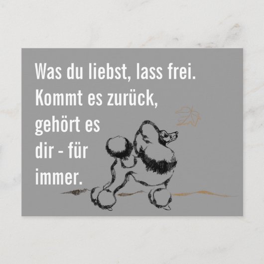 賢いプードル ポストカード (正面)