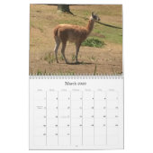 賢い動物 カレンダー (3月 2026)