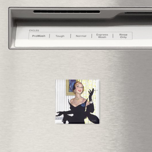 賢い女も危険だ マグネット (インサイチュ (食洗機))