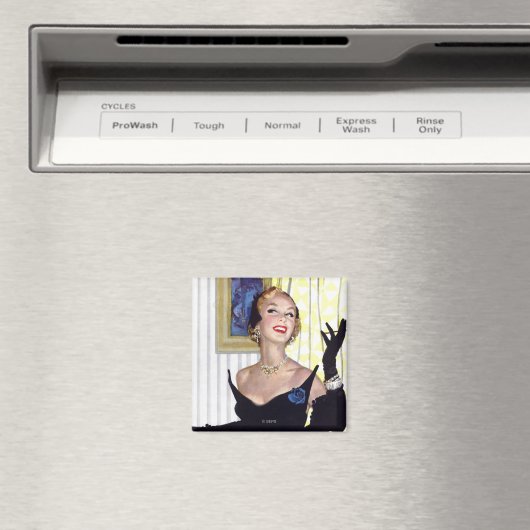 賢い女も危険だ マグネット (インサイチュ (食洗機))