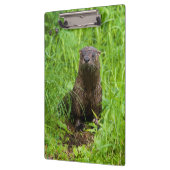 賢い川のオッター クリップボード (左)