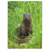 賢い川のオッター クリップボード (裏面)