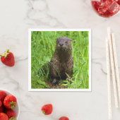 賢い川のオッター スタンダードカクテルナプキン (インサイチュ)