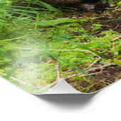 賢い川のオッター フォトプリント            (角)